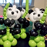 Hungry pandas climbing bamboo